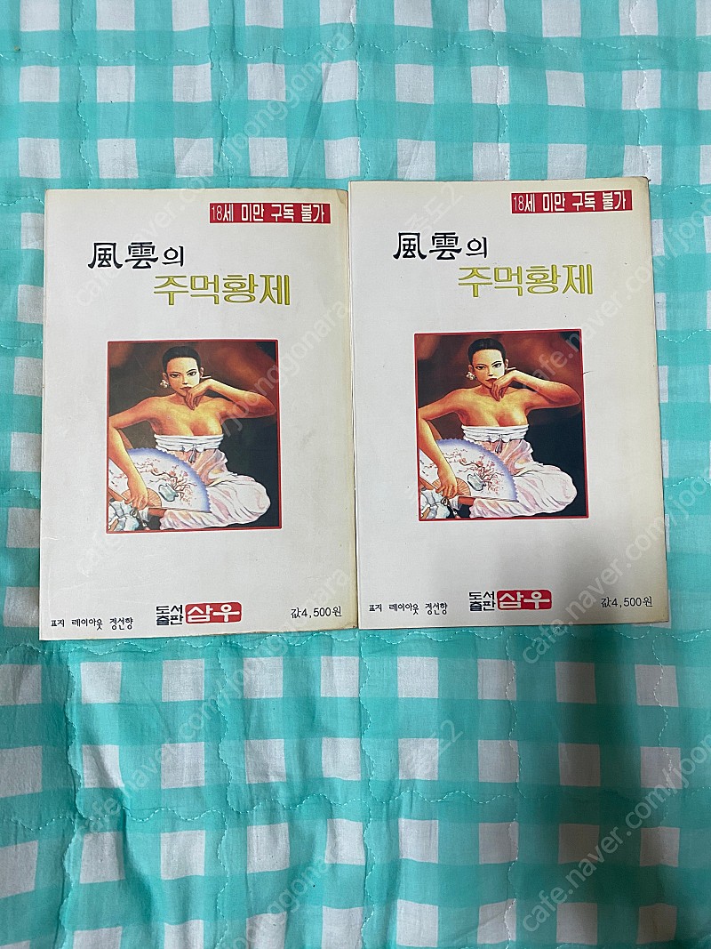 풍운의 주먹황제 1-2(완) | 소설/만화책 | 중고나라 풍운의 주먹황제 1-2(완) | 소설/만화책 | 중고나라