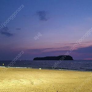 (삽니다) 전주 얼티밋 뮤직페스티벌 2장