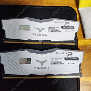 팀그룹 TeamGroup T-Force DDR4-3200 CL16-18-18-38 RGB 화이트 패키지 서린 (16GB(8Gx2)) 램 팝니다