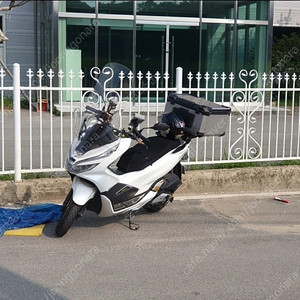 pcx 2019년식 60800km