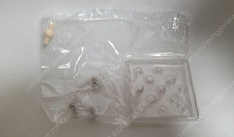 넨도로이드 IS 라우라 보데비히 이미지