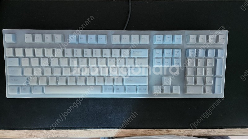 리얼포스 R2 R2SA 저소음 apc 45g 균등 풀배...--1