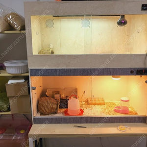 미니메추리 사육장 용품 팝니다 이미지