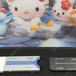 오래된 유물, 소니 메모리 스틱 듀오 어댑터(MSAC-M2) + SONY 메모리 스틱PRO 듀오 1GB [택포]