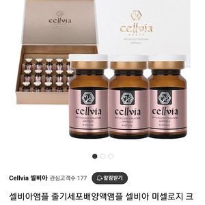 셀비아 앰플 1Box 단순개봉 새제품