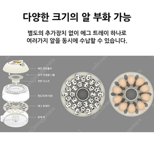 알콤 부화기 프로10 플러스