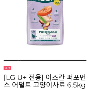 이즈칸 캣퍼포먼스 어덜트 6.5kg 쿠폰 판매합니다