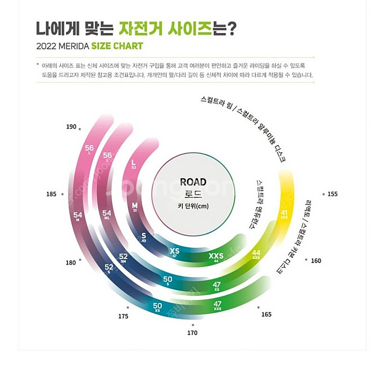 메리다 리엑토5000xs 21년식--1