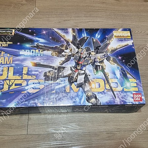 MG 1/100 ZGMF-X20A 스트라이크 프리덤 건담 풀버스트 미개봉 새제품입니다.