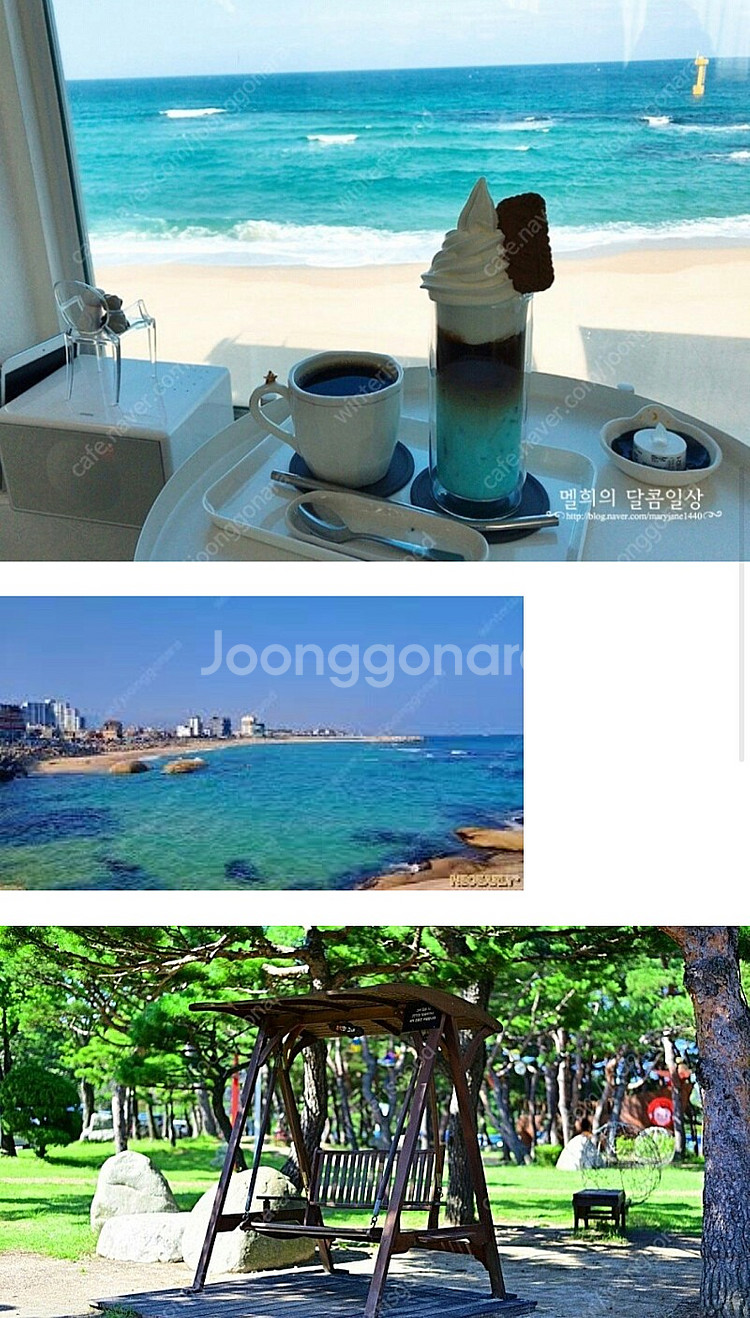 8월19일 켄싱턴 설악비치 오션뷰 스튜디오 패키지(네고...--1