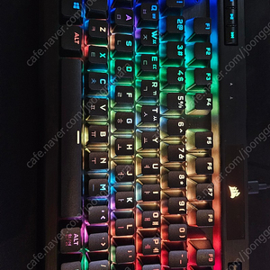 커세어 k70 rgb tkl 체리적축 카보드 팔아요