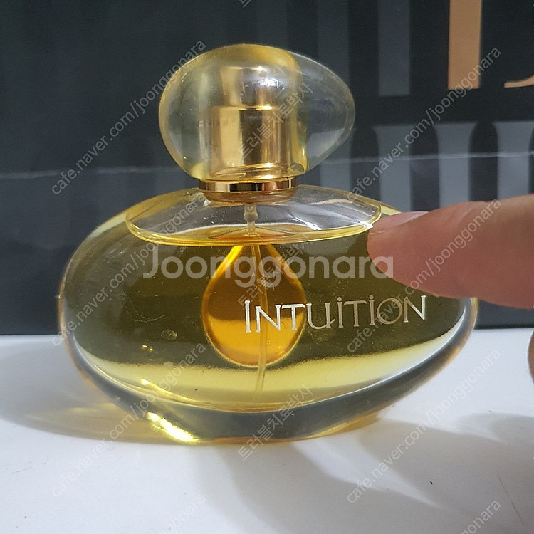 에스티로더 인퓨전 EDP 50ml 향수 (12)--0