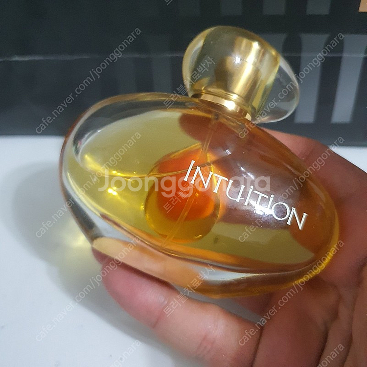 에스티로더 인퓨전 EDP 50ml 향수 (12)--1