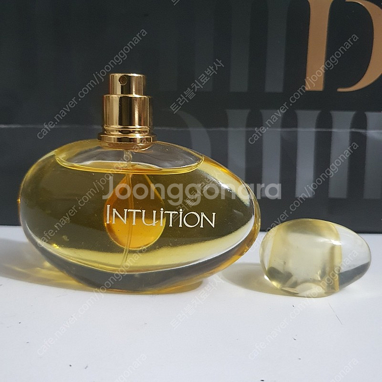 에스티로더 인퓨전 EDP 50ml 향수 (12)--4