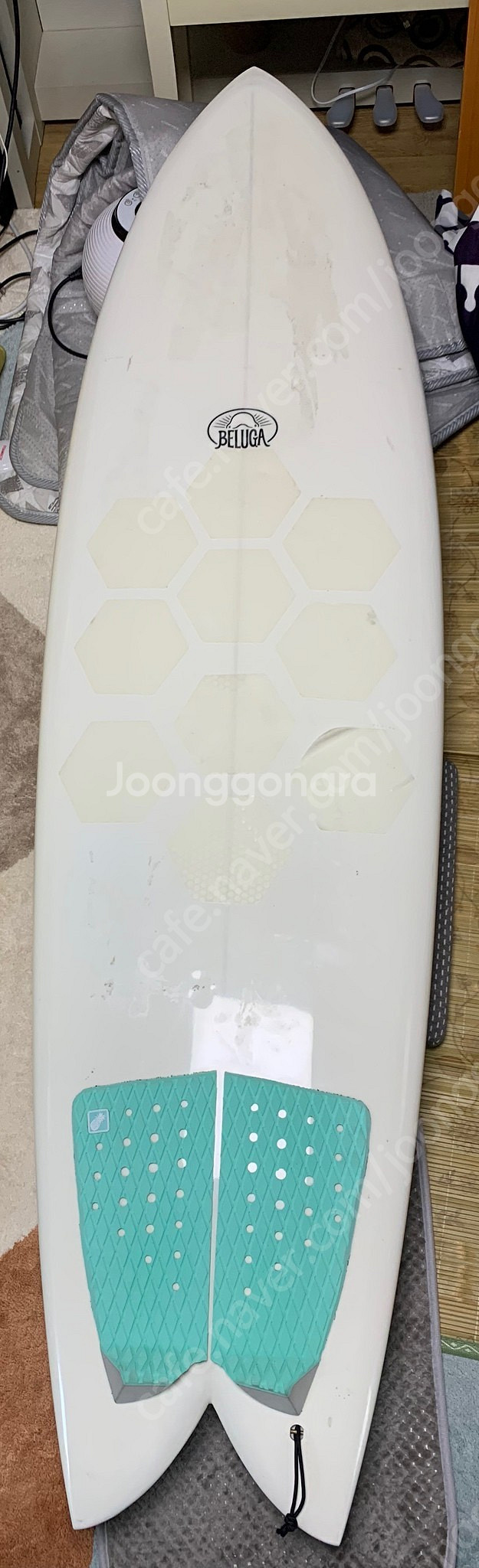 서핑 서퍼보드 벨루가--2