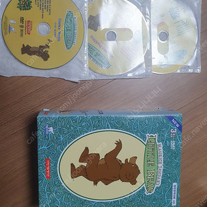 little bear dvd 리틀 베어