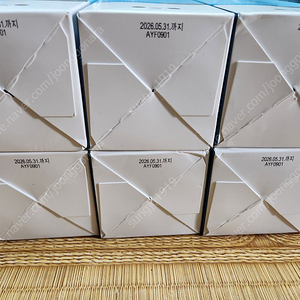 볼빅 세보 샴푸 500g (붉은두피 및 두피 뾰루지 및 탈모특화) 500g X 2개