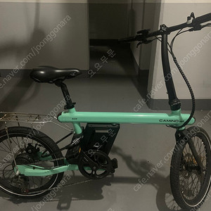 상태 좋은 까미노 에코