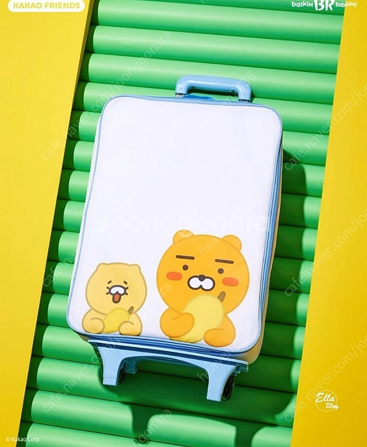 베스킨 트래블캐리어--2