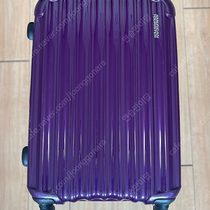 American Tourister 20인치 캐리어 판매합니당