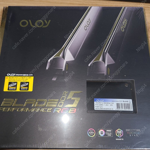 OLOy DDR5 5600 CL36 16GB