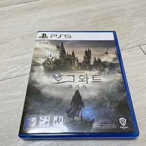 PS5 호그와트 레거시 코드 사용