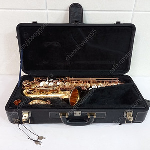 알토색소폰 핑크골드 야나기사와 WO37