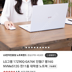 lg 그램 17인치 i7 512G