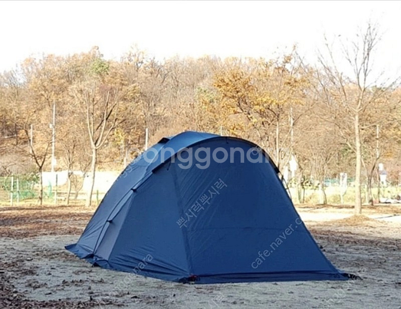 에르젠 엘돔260--1