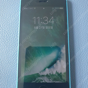 아이폰 5C + 케이스