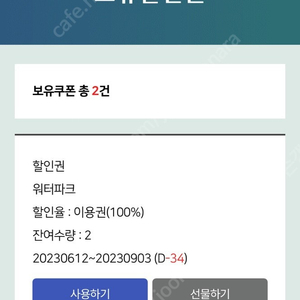 디오션 워터파크 2인