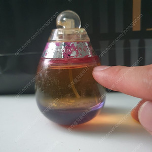 에스티로더 비욘드 파라다이스 EDP 50ml 향수
