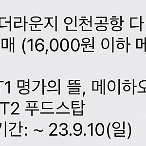 인천공항 더라운지 쿠폰 16000원->10000원