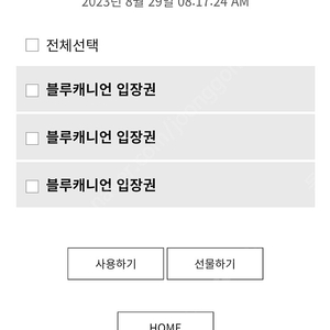 평창휘닉스파크 블루캐니언 입장권 3장 8/29