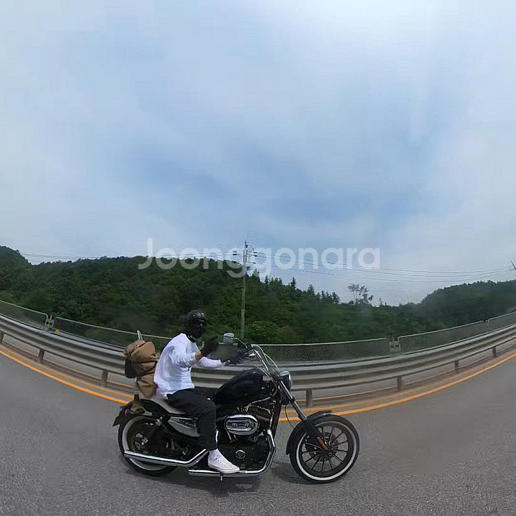 할리데이비슨 아이언883 2012 세미쵸퍼 스포스터88...--6