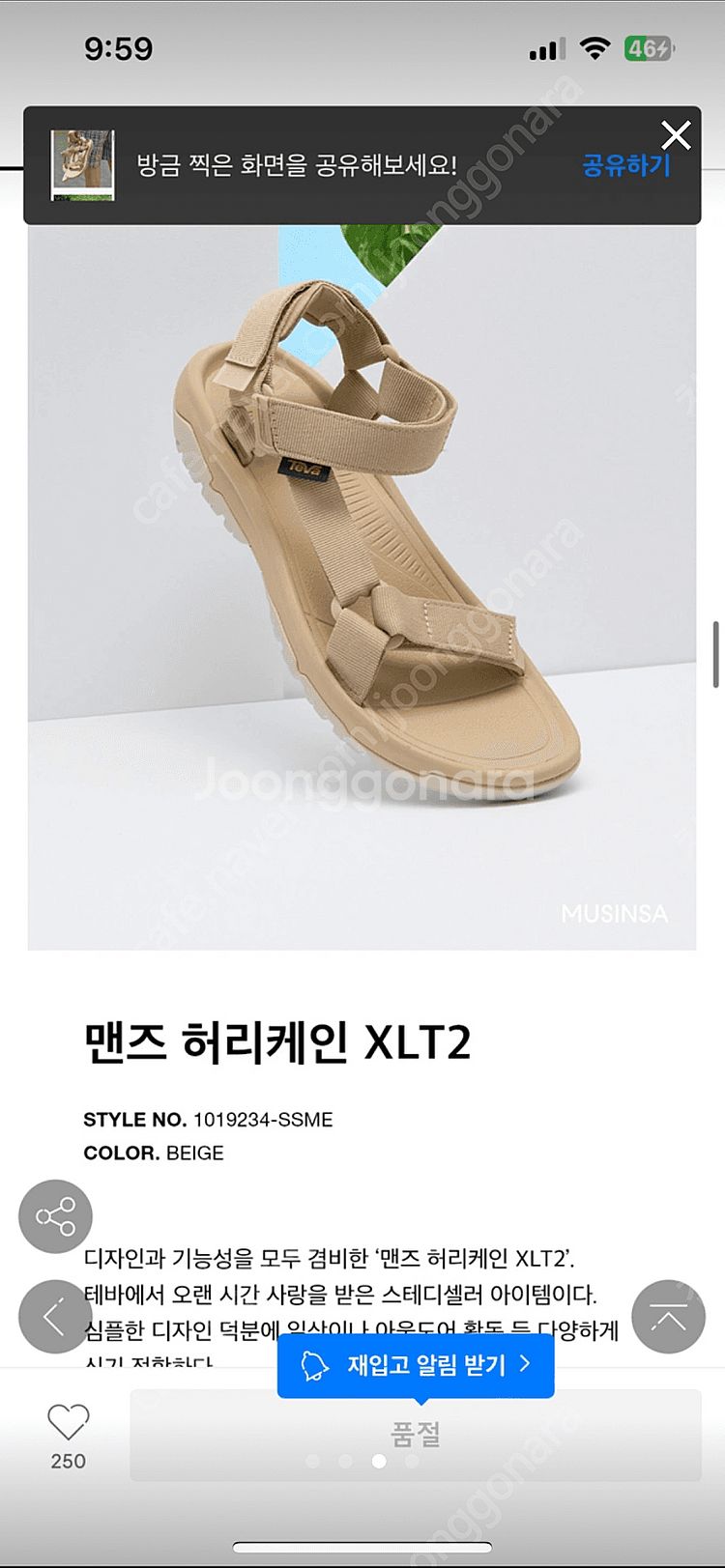 테바 허리케인 XLT2 280--1