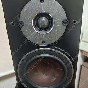 달리 오베론1 북쉘프 스피커 팝니다