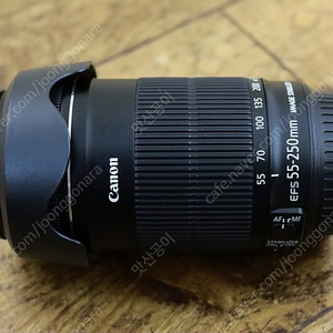 ef-s 55-250mm STM 캐논 헝그리 망원