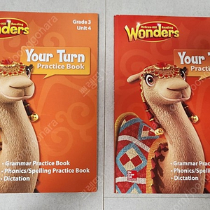 Wonders Your Turn Practice Book