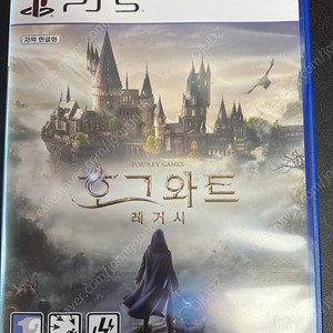 PS5 호그와트 레거시 택포