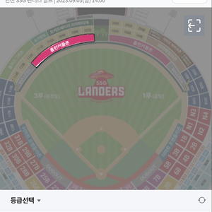 9/3 (일) SSG랜더스 VS 기아 타이거즈 3루 홈런커플존 A열 2연석 (중견수쪽)