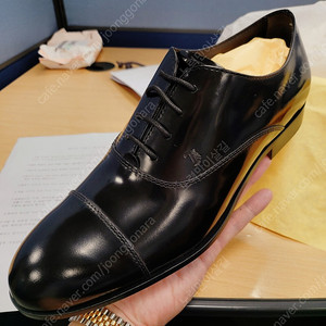 토즈 (TODZ) 정품 남성 구두 판매 (신품, 8.5사이즈 270mm 전후)