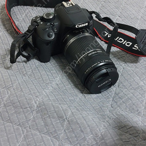 캐논 650d