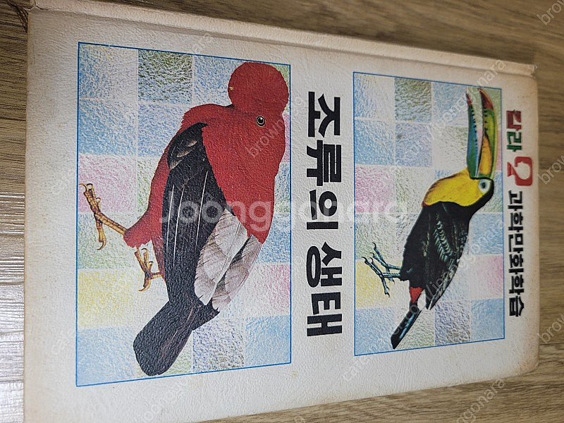추억의 레트로 고전 희귀도서 금성 과학 칼라만화 학습 ...--8