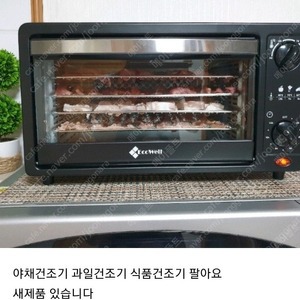 야채건조기 과일건조기 식품건조기 팔아요