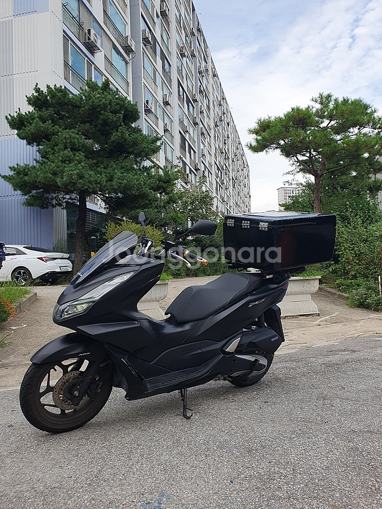 청주 22년식 PCX 팔아요 23000킬로--1