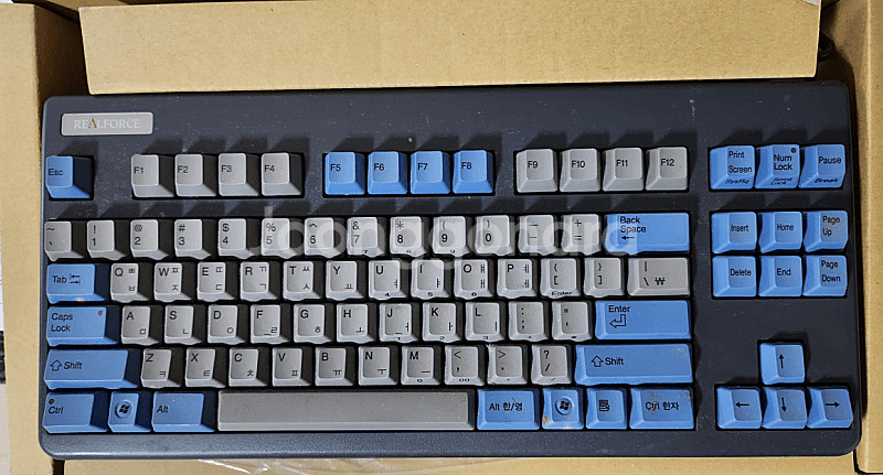 리얼포스 87U 10주년 차등 텐키리스(TKL) 키보드...--0