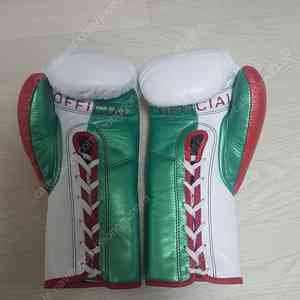 복싱글러브 PROMEX 10oz 오피셜 멕시코 새글러브