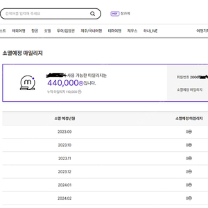 하나투어 마일리지 ( 하나투어 포인트 ) 44만점->42만원