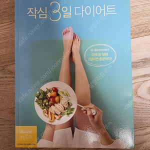 작심3일 다이어트 책